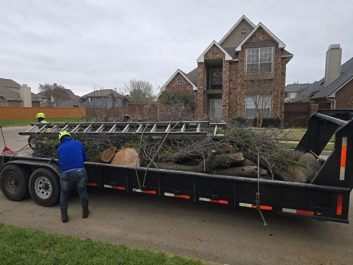 Expert Crown Reduction with proper safety equipment in Jamestown